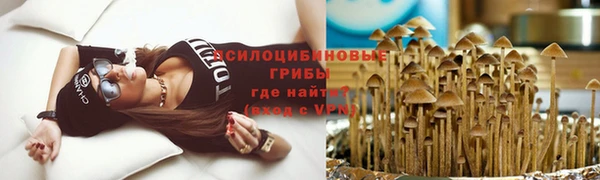 a pvp Богданович