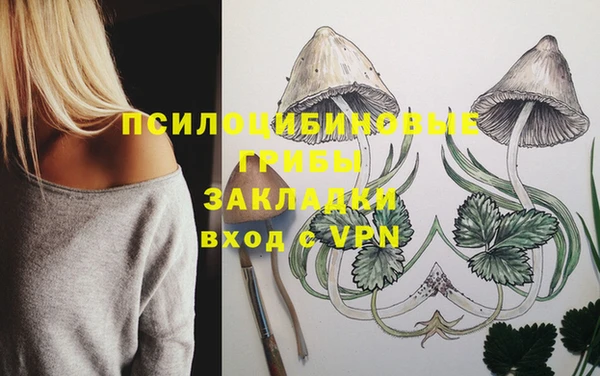 a pvp Богданович