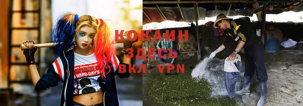 прущая мука Богородск