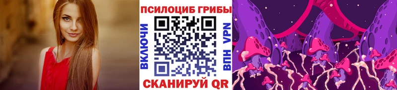 Галлюциногенные грибы Psilocybine cubensis где продают наркотики Донской